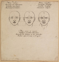 TvB G 5501
<br/>
Aftekening en verbeelding der Hartstochten
<br/>
<em>Leclerc, Sebastiaan I (1637-1714)</em>